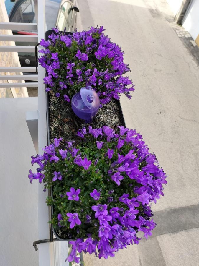 The Violet House Villa Costa Nova Exteriör bild