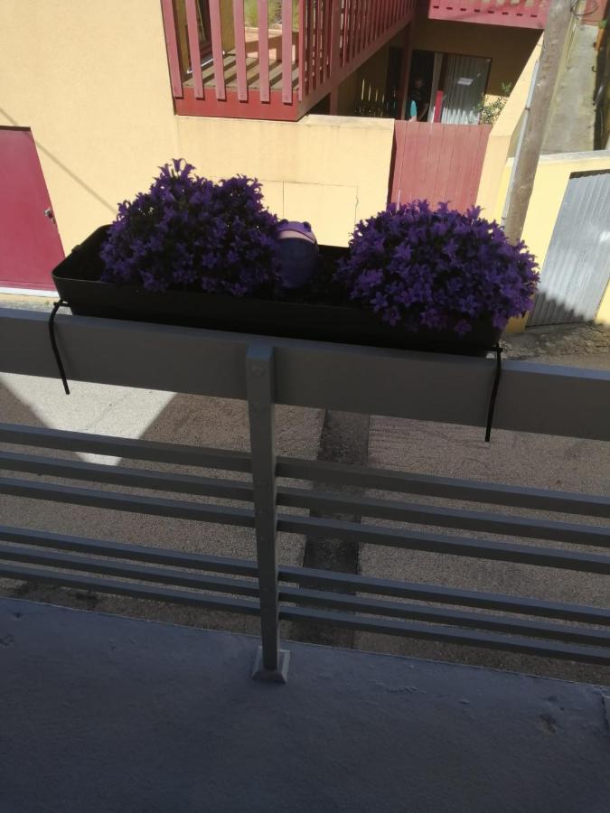 The Violet House Villa Costa Nova Exteriör bild